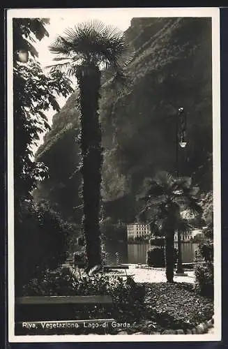 AK Riva /Lago di Garda, Vegetazione