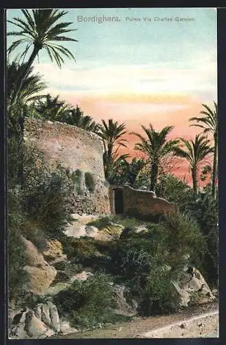 AK Bordighera, Palme Via Charles Garnier