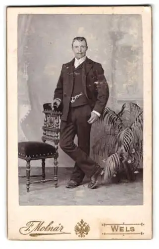 Fotografie F. Molnár, Wels, Westbahnstrasse 10, Eleganter Herr mit Zigarre