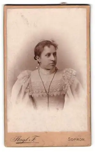Fotografie F. Stagl, Oedenburg, Grabenrunde 93, Emilie Tillich in eleganter Kleidung
