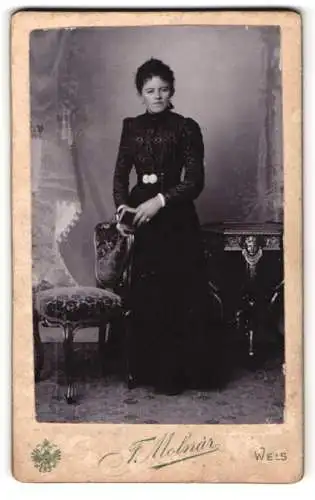 Fotografie F. Molnár, Wels, Westbahnstrasse 10, Porträt einer Dame in eleganter Pose