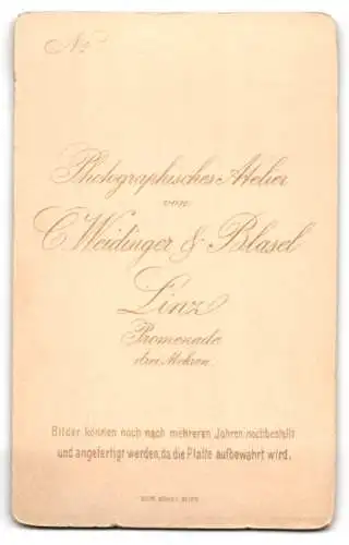 Fotografie C. Weidinger & Blasel, Linz, Porträt einer Dame