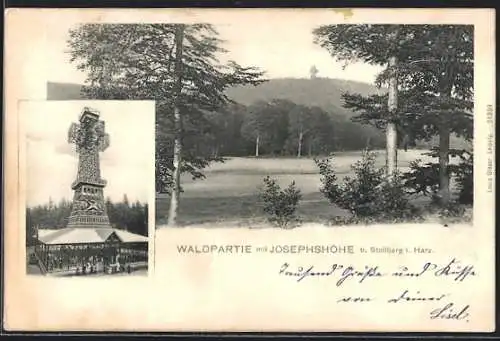 AK Stolberg i. Harz, Waldpartie mit Josephshöhe