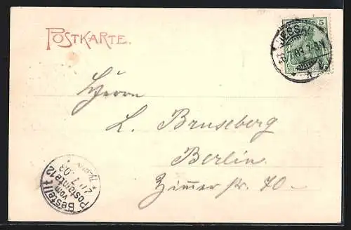 AK Dessau, Blick auf das Herzogliche Hoftheater