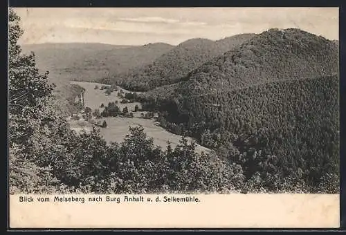 AK Meiseberg, Blick nach Burg Anhalt und Selkemühle