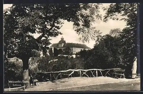 AK Weissenfels /Saale, Blick auf das Schloss