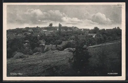AK Schielo /Harz, Ortsansicht aus der Vogelschau