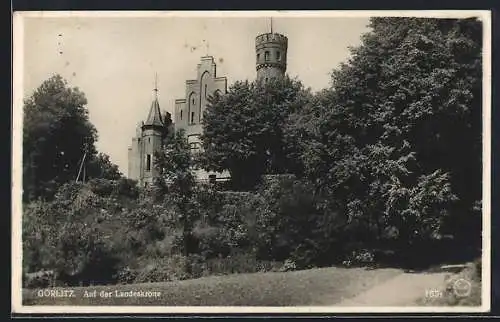 AK Görlitz, Auf der Landeskrone