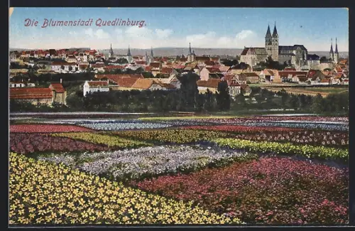 AK Quedlinburg, Blumenfelder und Stadtansicht