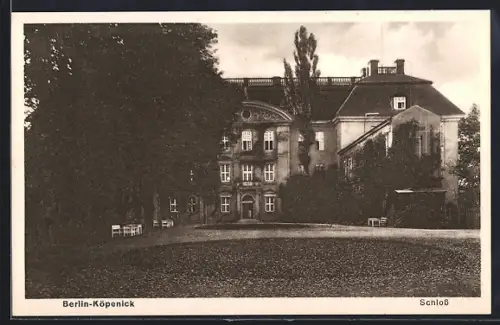AK Berlin-Köpenick, Blick auf das Schloss