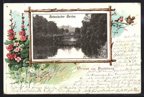 AK Hamburg-St.Pauli, Botanischer Garten mit Brücke