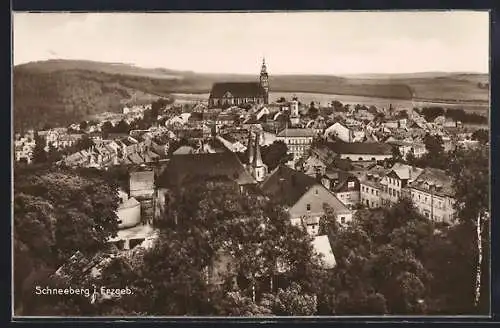 AK Schneeberg i. Erzgeb., Ortsansicht mit Kirche