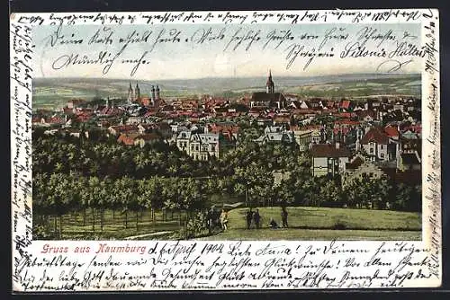 Lithographie Naumburg / Saale, Panorama des Ortes