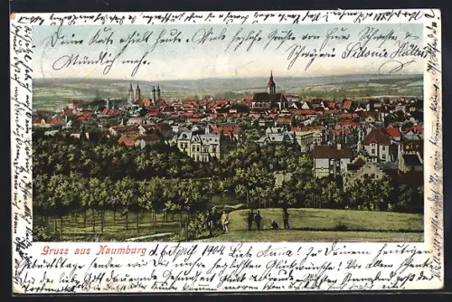 Lithographie Naumburg / Saale, Panorama des Ortes