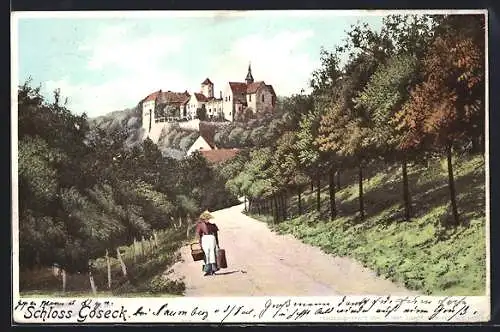 Lithographie Goseck, Blick auf das Schloss von der Landstrasse aus