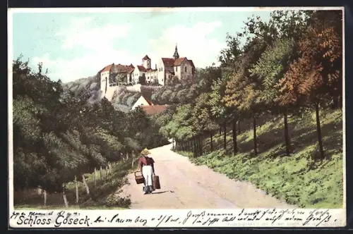 Lithographie Goseck, Blick auf das Schloss von der Landstrasse aus