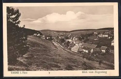 AK Tanne i. Harz, Blick vom Ziegenberg
