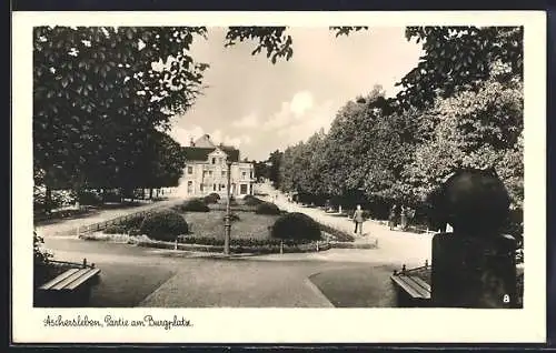 AK Aschersleben, Partie am Burgplatz
