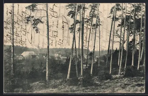 AK Magdeburgerforth /Jerichower Schweiz, Blick auf den Ort durch die Bäume