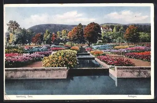 AK Ilsenburg /Harz, Gartenanlage mit blühenden Blumen