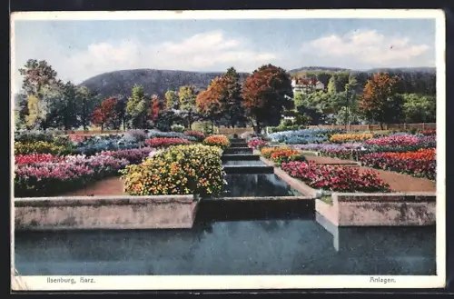AK Ilsenburg /Harz, Gartenanlage mit blühenden Blumen