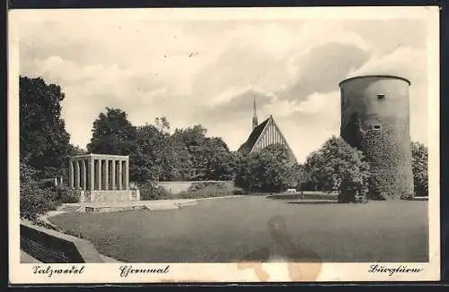 AK Salzwedel, Burgthurm mit Bäumen