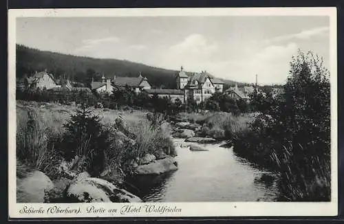 AK Schierke /Oberharz, Partie am Hotel Waldfrieden