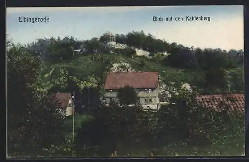 AK Elbingerode, Blick auf den Kahlenberg