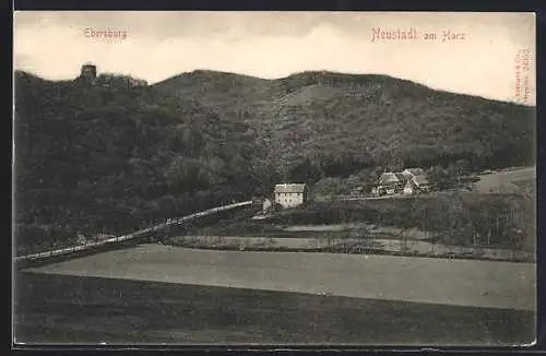 AK Neustadt am Harz, Ebersburg in der Ferne