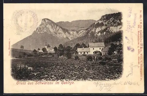 AK Schwarzau im Gebirge, Ortspartie mit Bergen
