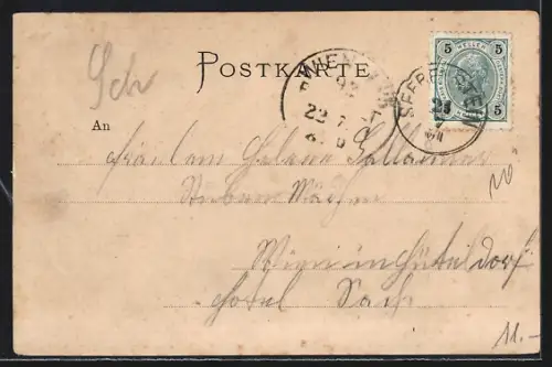 AK Scheiblingkirchen /N.-Ö., Teilansicht mit Bäumen