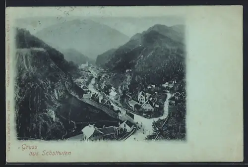AK Schottwien, Panorama mit Strassenpartie