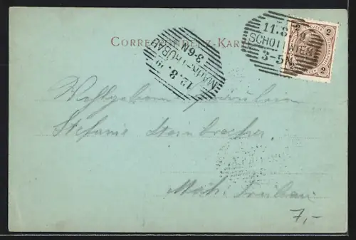 AK Schottwien, Panorama mit Strassenpartie