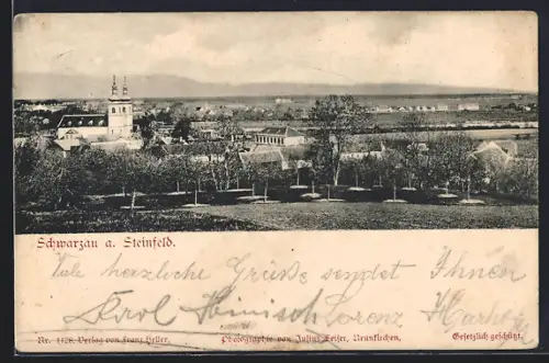 AK Schwarzau a. Steinfeld, Ortspartie mit Kirche