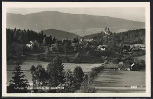 AK Raach am Hochgebirge, Schlagl bei Gloggnitz, Panorama mit Schloss