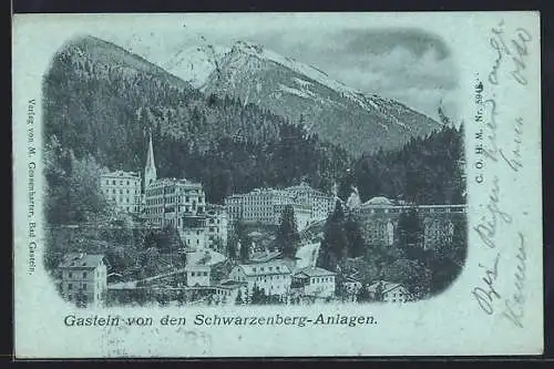 AK Badgastein, Blick von den Schwarzenberg-Anlagen