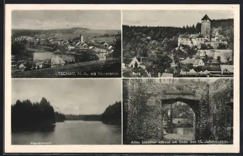 AK Litschau, Burg, Herrenteich, Altes Stadttor, Ortsansicht