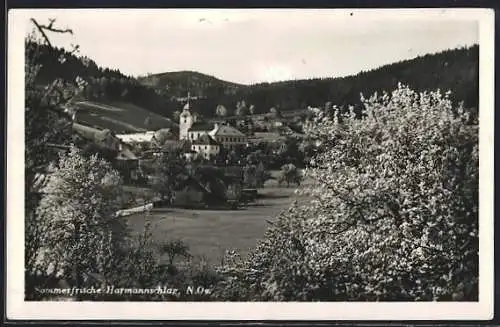 AK Harmannschlag, Blick zur Kirche des Ortes