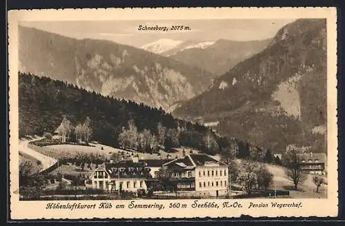 AK Küb am Semmering, Pension Wegererhof mit Schneeberg