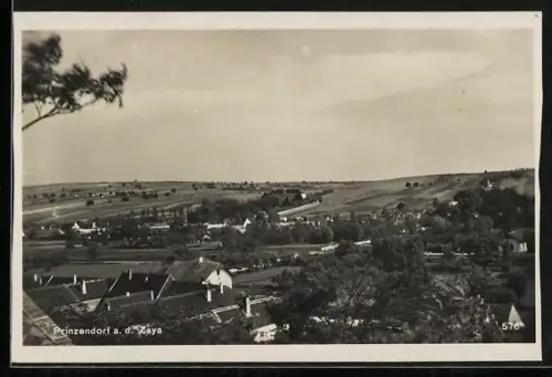 AK Hauskirchen /N.-Oe., Prinzendorf an der Zaya, Teilansicht mit Bäumen