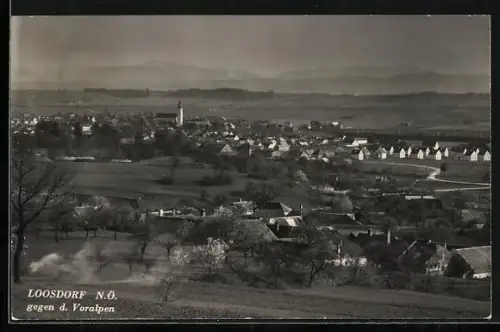 AK Loosdorf /N. Ö., Teilansicht gegen die Voralpen