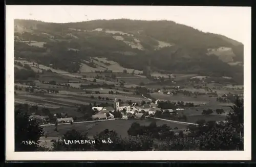 AK Laimbach /N. Ö., Strassenpartie mit Kirche