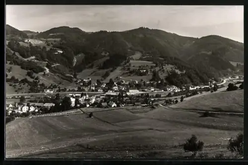 AK Türnitz /N. Oe., Lehenrotte mit Erholungsheim der N. Oe. Gebietskrankenkasse