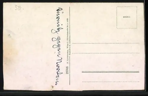 AK Türnitz /N.-Oe., Teilansicht mit Kirche