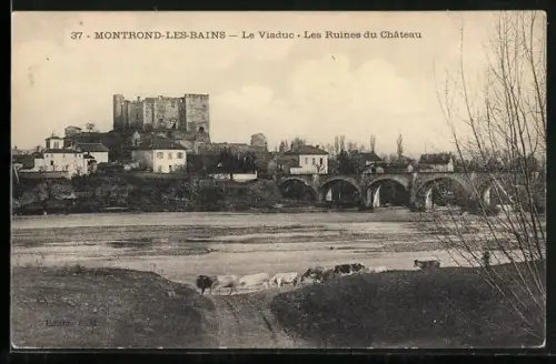 AK Montrond-les-Bains, Le Viaduc et les Ruines du Château