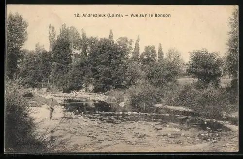 AK Andrezieux /Loire, Vue sur le Bonson