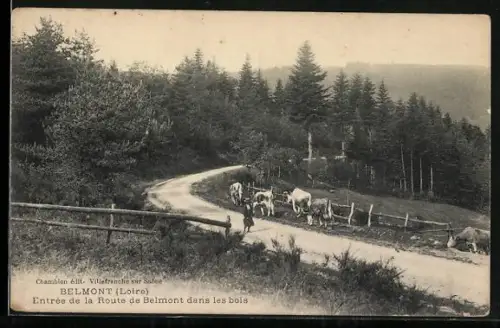 AK Belmont /Loire, Entrée de la Route de Belmont dans les bois
