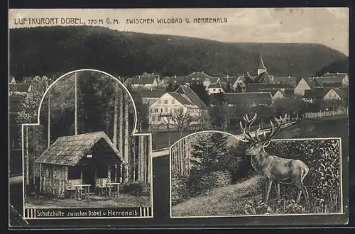 AK Dobel / Herrenalb, Ortsansicht, Schutzhütte, Hirsch