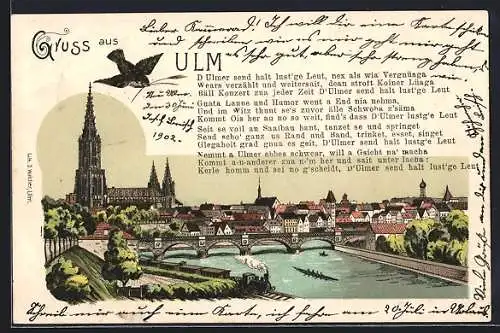 Lithographie Ulm / Donau, Münster, Stadtansicht, Donaubrücke