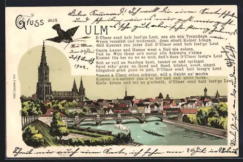 Lithographie Ulm / Donau, Münster, Stadtansicht, Donaubrücke